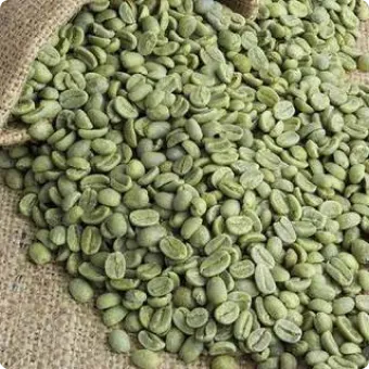 Cà phê Robusta tiêu chuẩn S16; S18