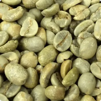 Cà phê Robusta S16; S18 ướt đánh bóng