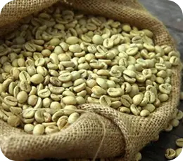 Hạt cà phê