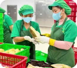 Sản phẩm trái cây