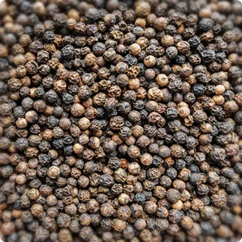 Hạt tiêu