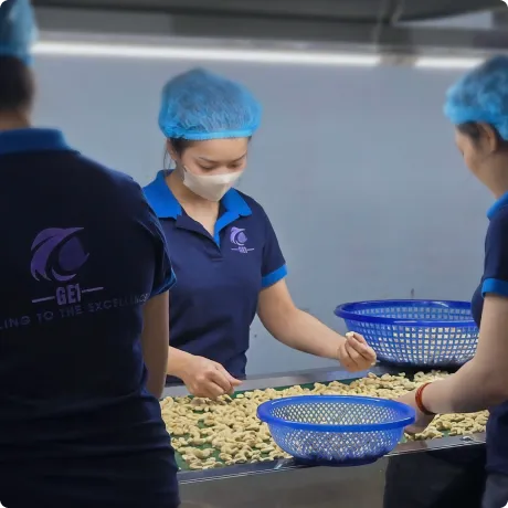 Cashew Processing Facility in Binh Phuoc