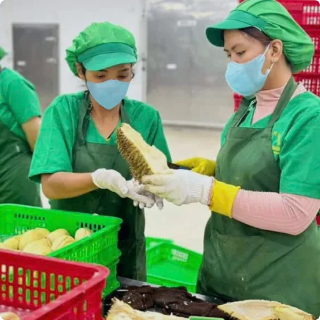Fruit Processing Facility in Dak Lak