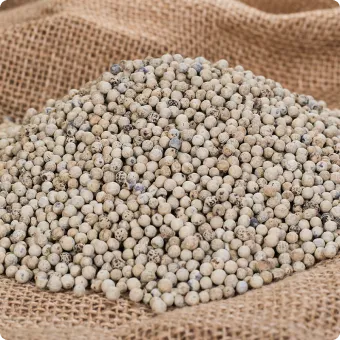 Hạt tiêu trắng (đã làm sạch hai lần)